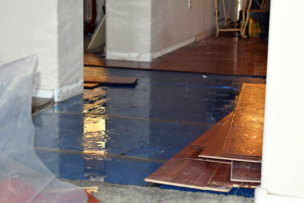 Professional Water Extraction technician working in North Lawrence, OH